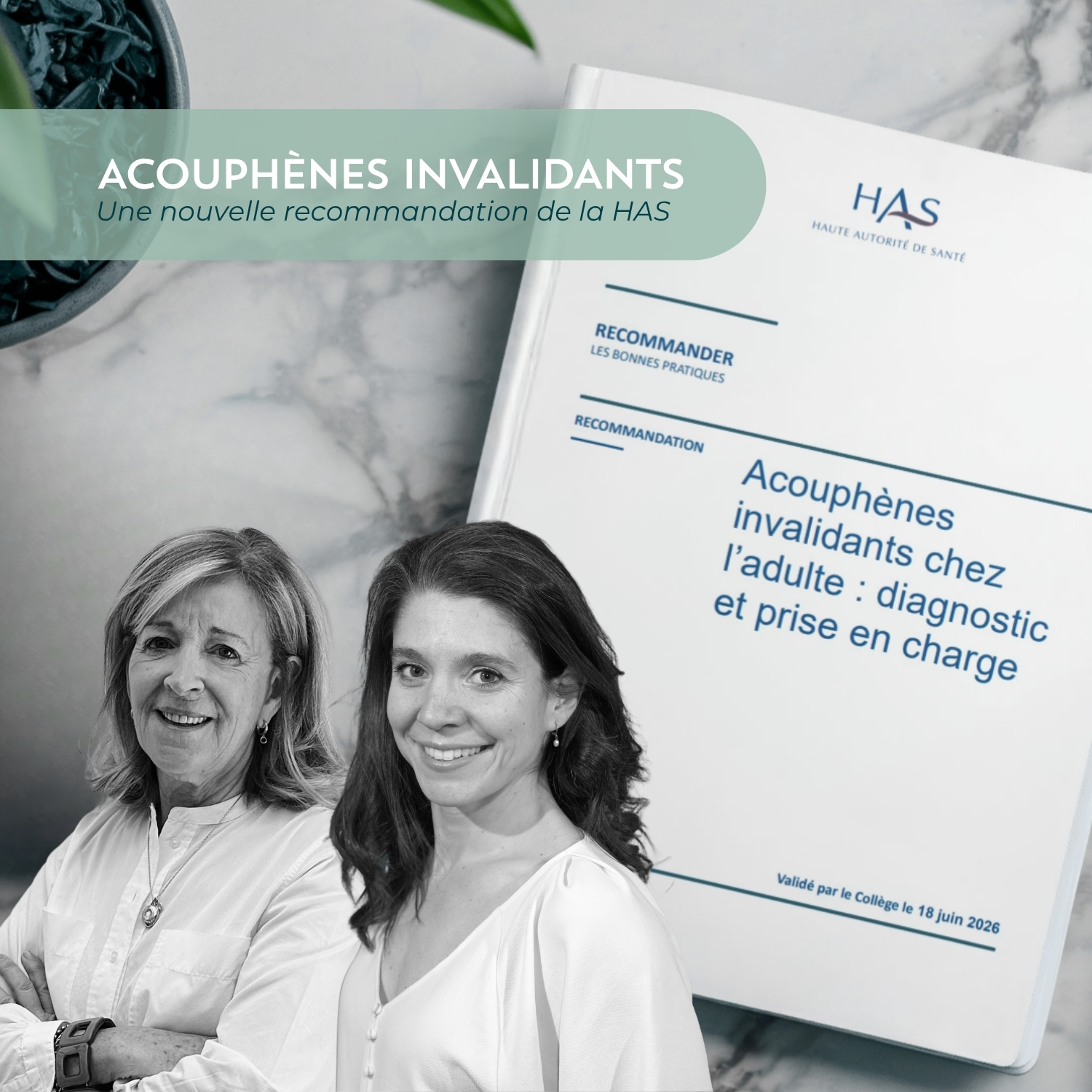 Reco HAS acouphènes